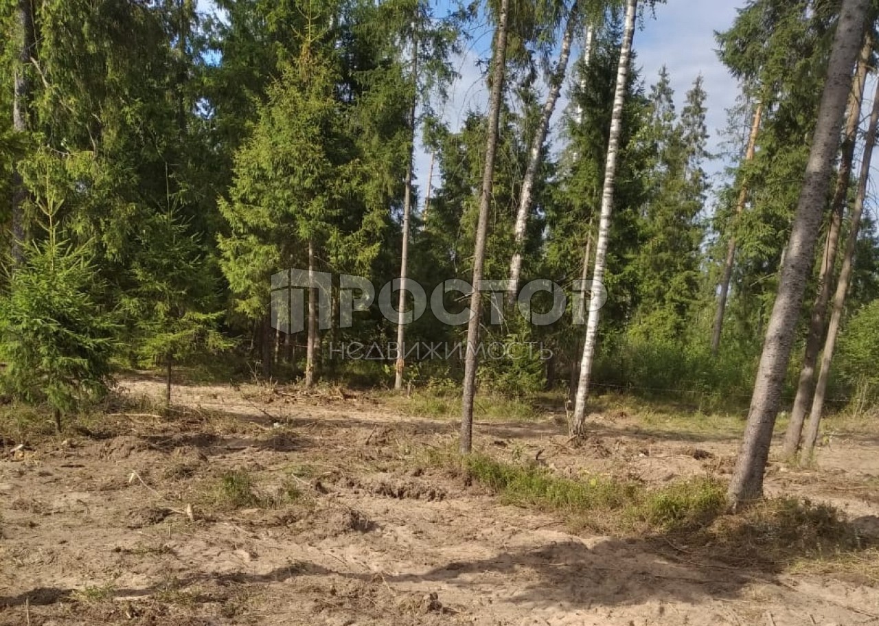 Участок, 12 сот. - фото 8