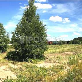 Фото участка
