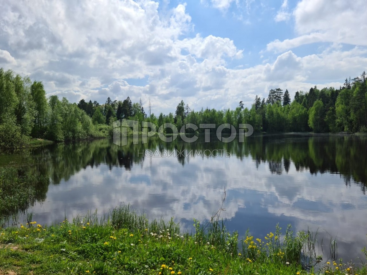 Участок, 12 сот. - фото 11