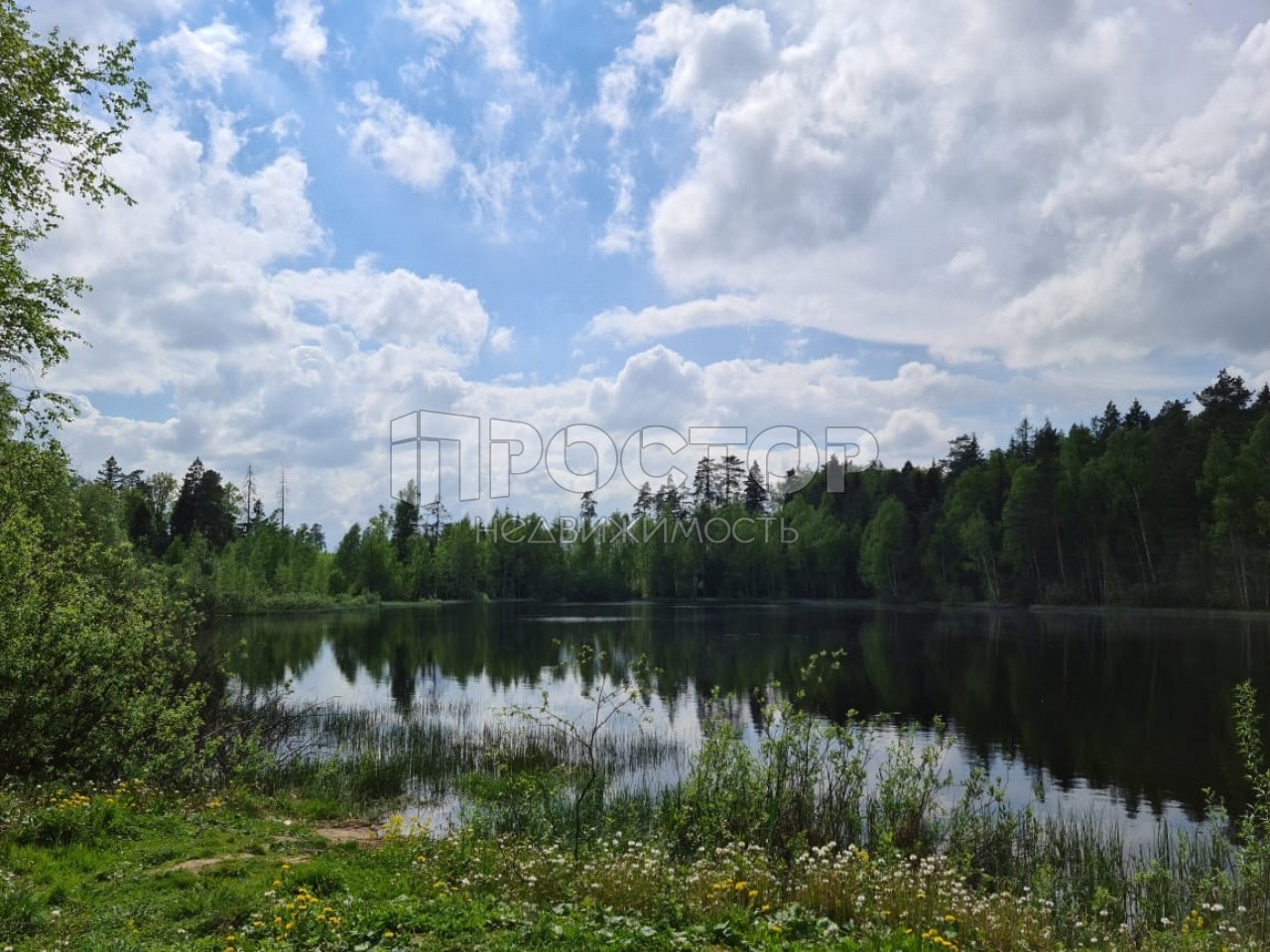 Участок, 12 сот. - фото 12