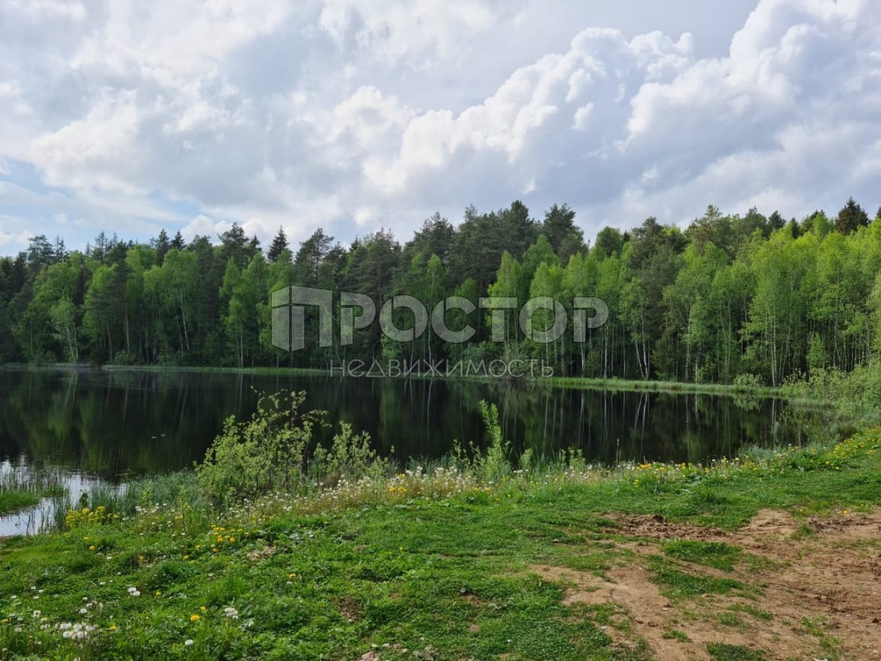 Участок, 12 сот. - фото 13