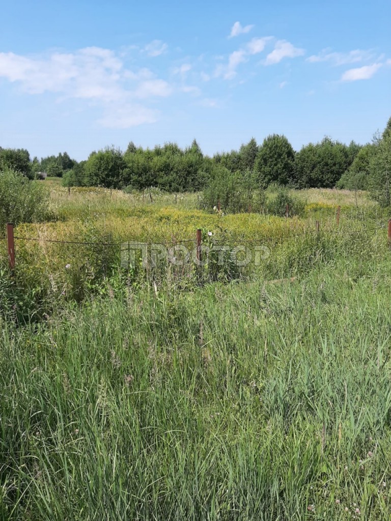 Участок, 12 сот. - фото 6