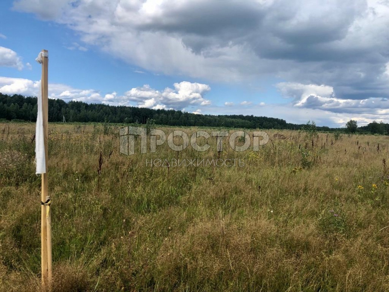 Участок, 58 сот. - фото 2