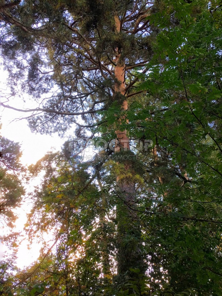 Участок, 8 сот. - фото 10