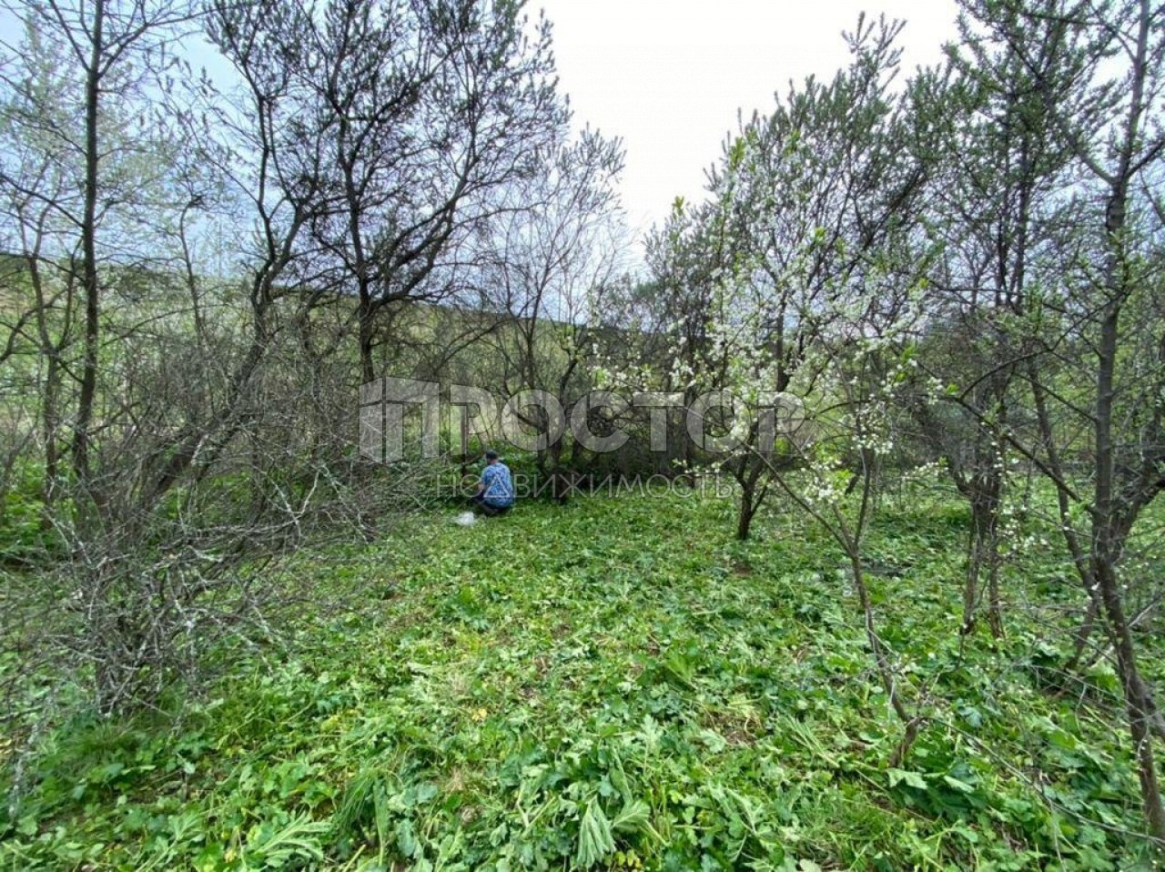 Участок, 11.35 сот. - фото 5