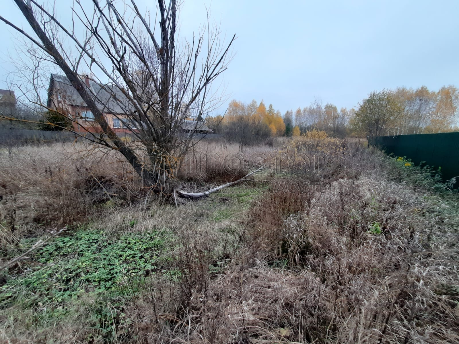 Участок, 15 сот. - фото 4