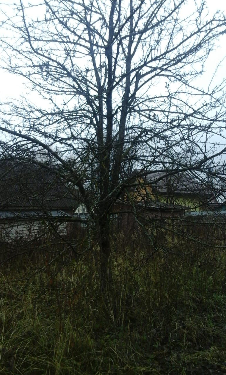 Участок, 14 сот. - фото 17