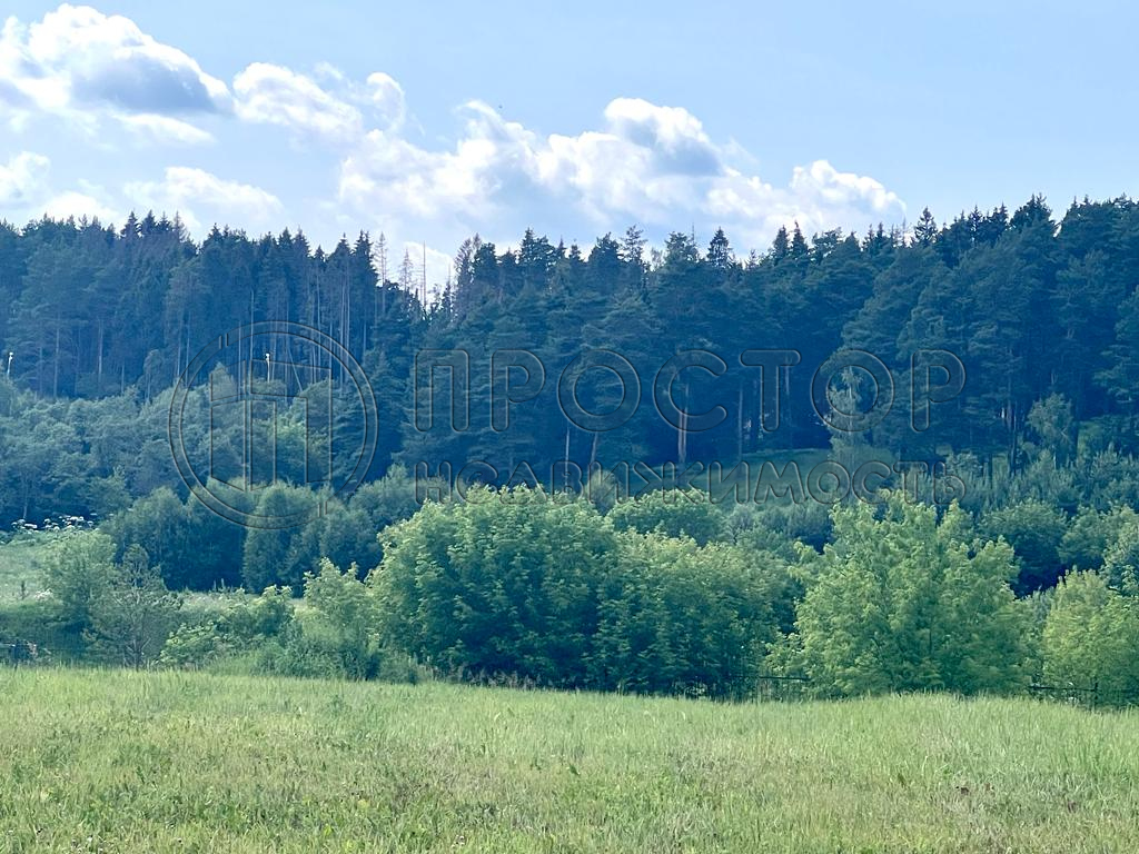 Участок, 6 сот. - фото 7