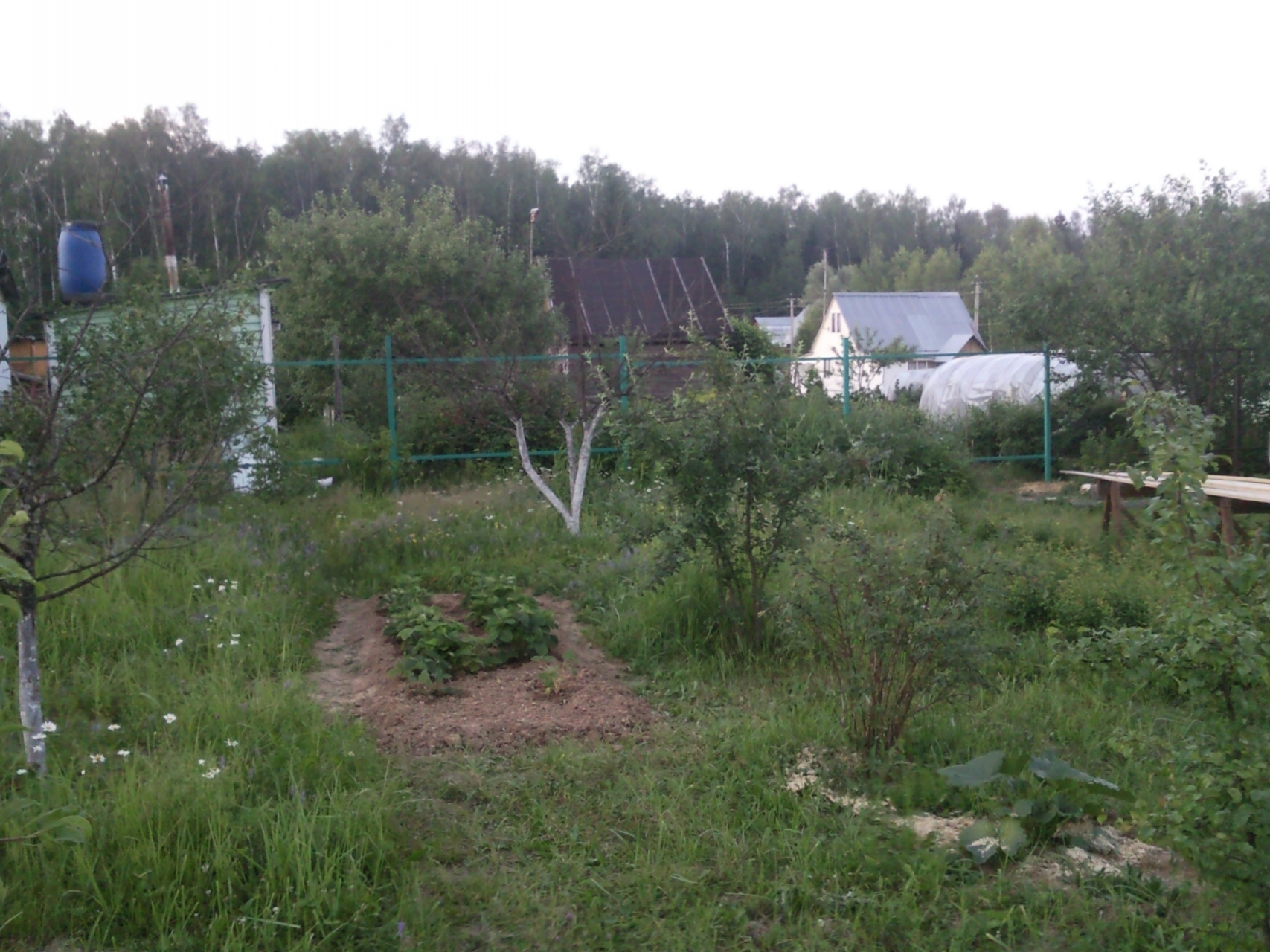 Участок, 7 сот. - фото 5