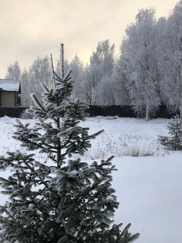 Участок, 7 сот. - фото 2