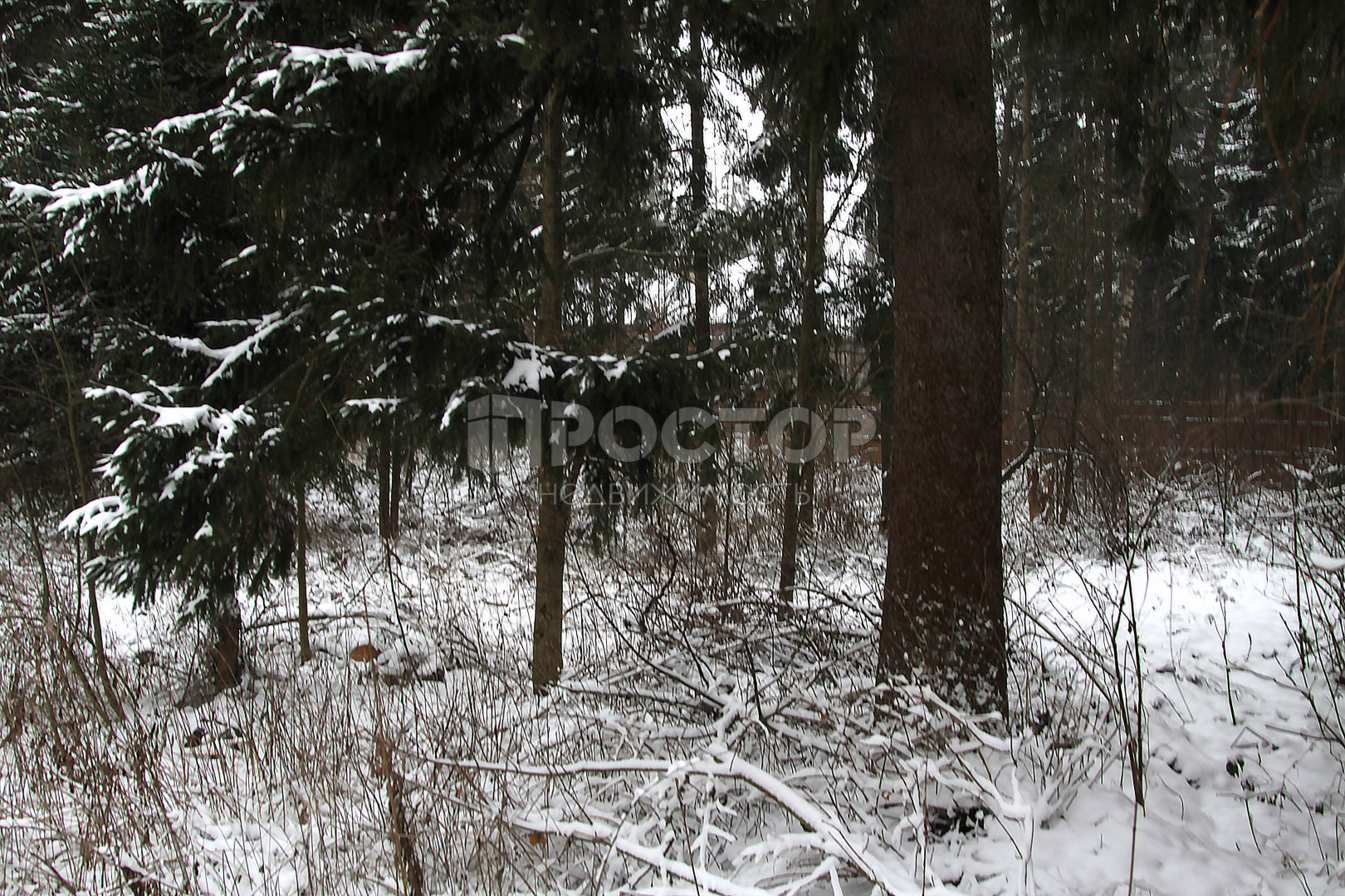 Участок, 17 сот. - фото 12
