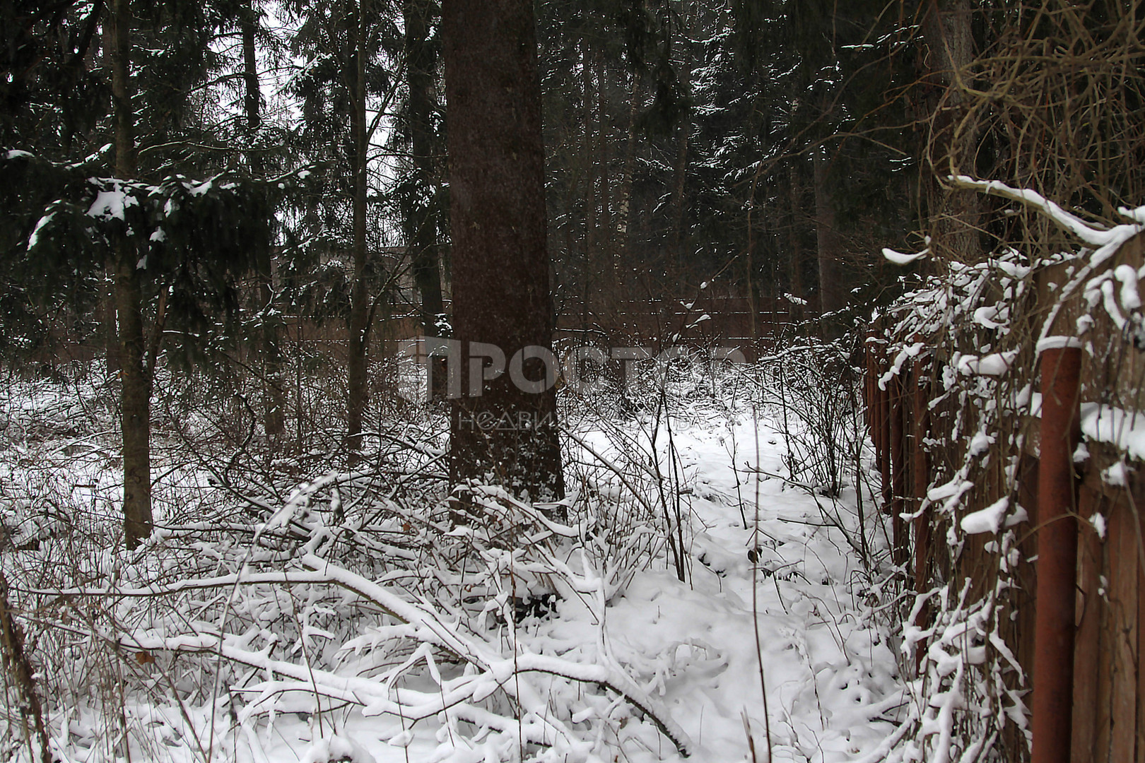 Участок, 17 сот. - фото 16