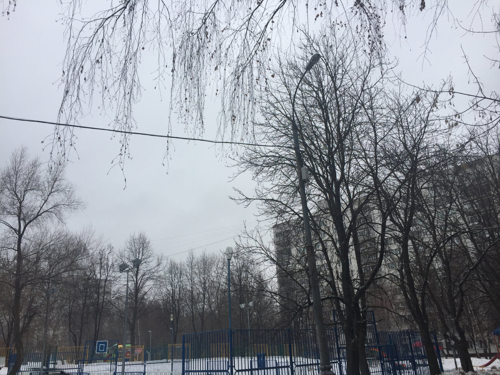 Комната,  м² - фото 6