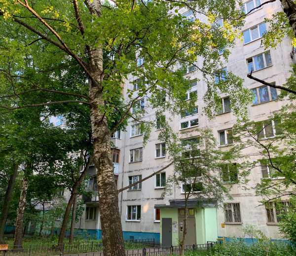 Фото комнаты