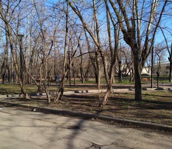 Фото комнаты