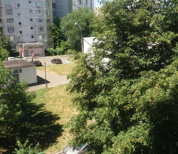 Фото комнаты