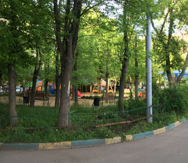 Фото комнаты