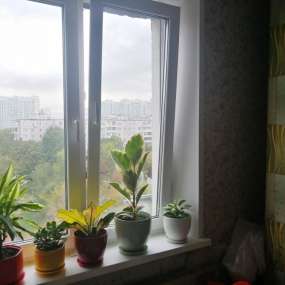 Фото комнаты
