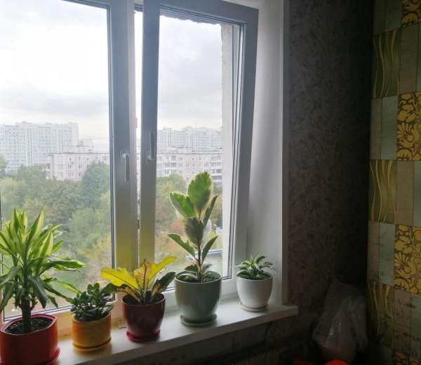 Фото комнаты