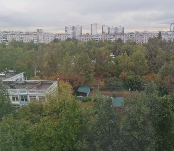 Фото комнаты