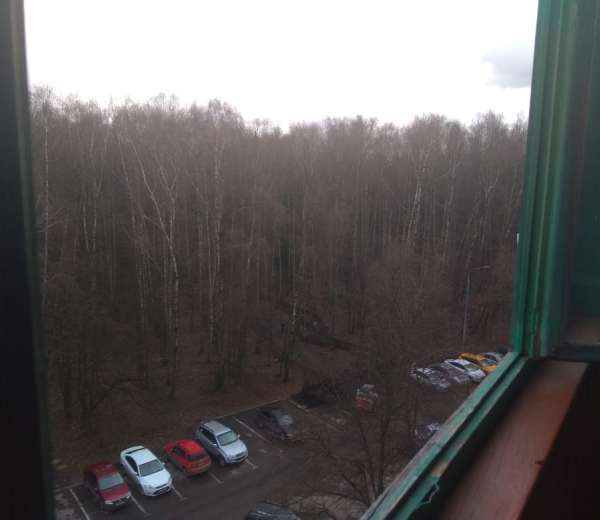 Фото комнаты