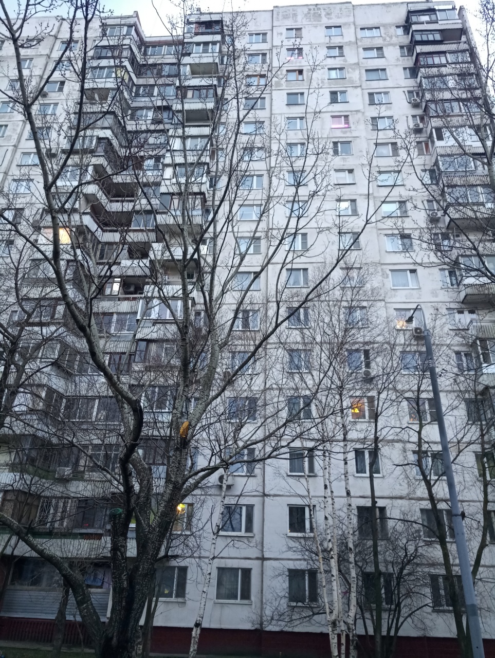 Комната,  м² - фото 10
