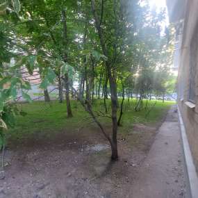 Фото комнаты