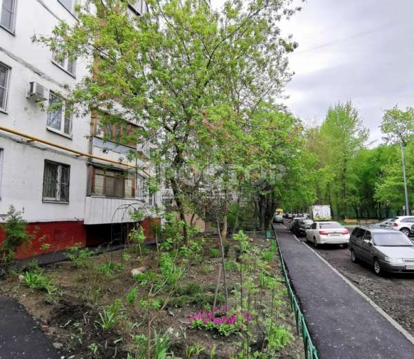 Фото комнаты