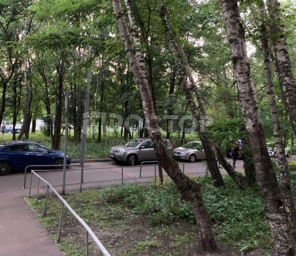 Фото комнаты