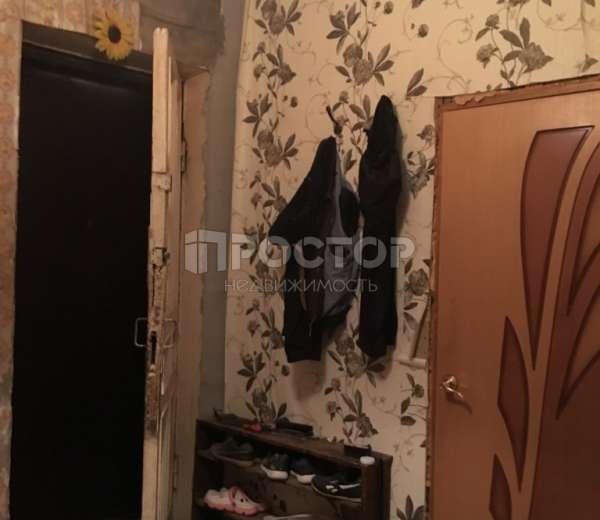 Фото комнаты
