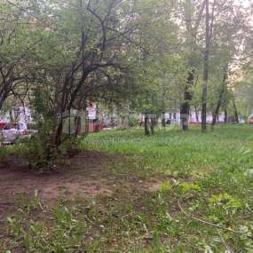 Фото комнаты