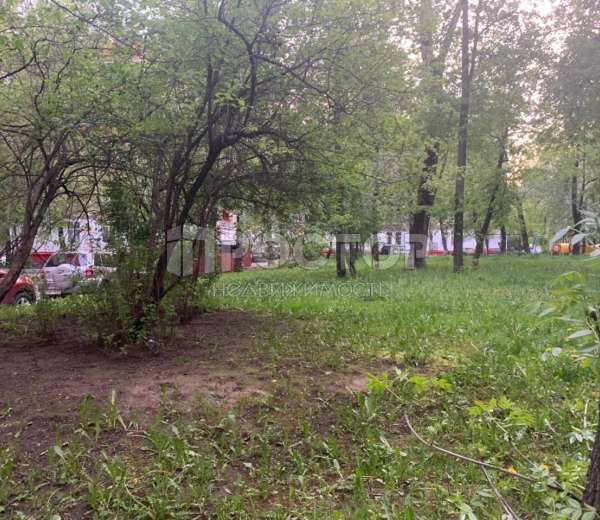 Фото комнаты