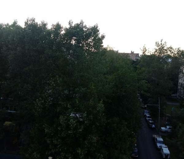 Фото комнаты
