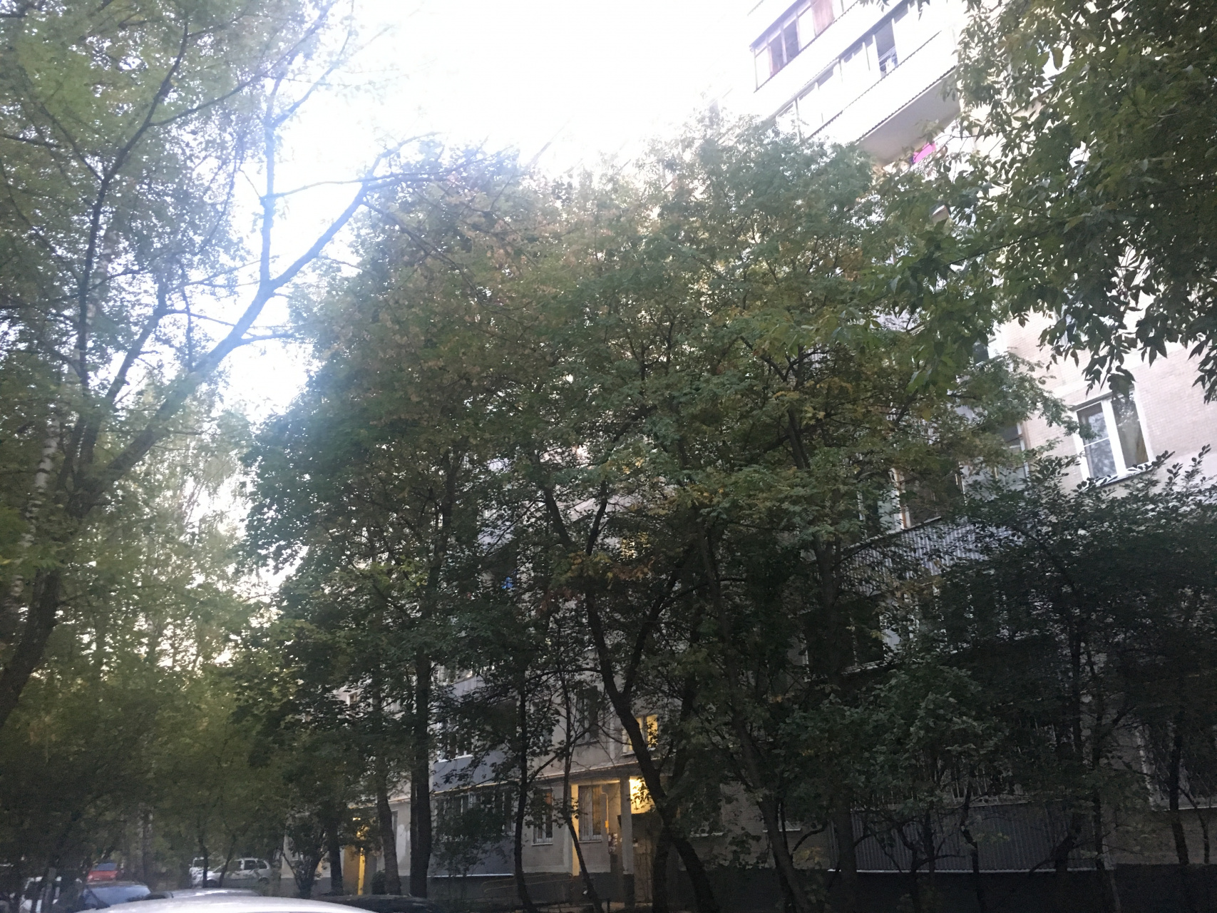 Комната,  м² - фото 13