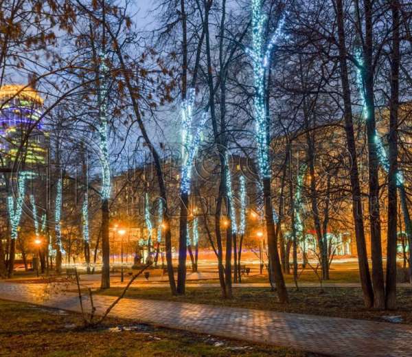 Фото комнаты