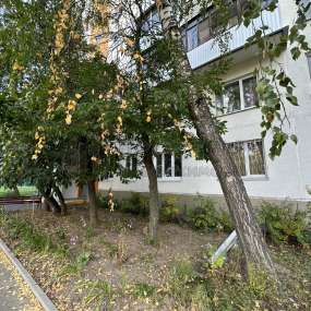 Фото комнаты