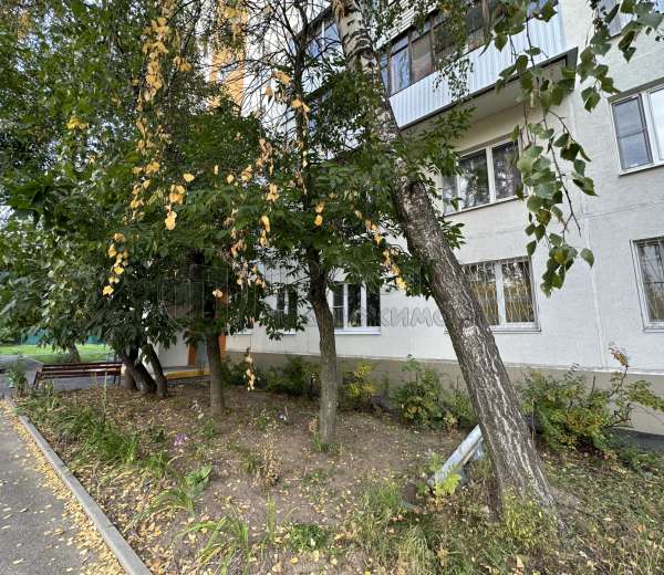 Фото комнаты