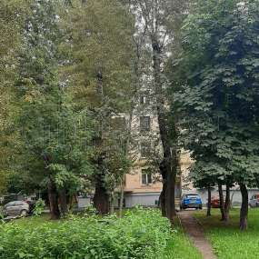 Фото комнаты