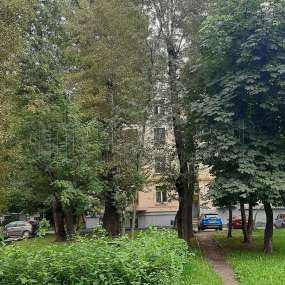 Фото комнаты