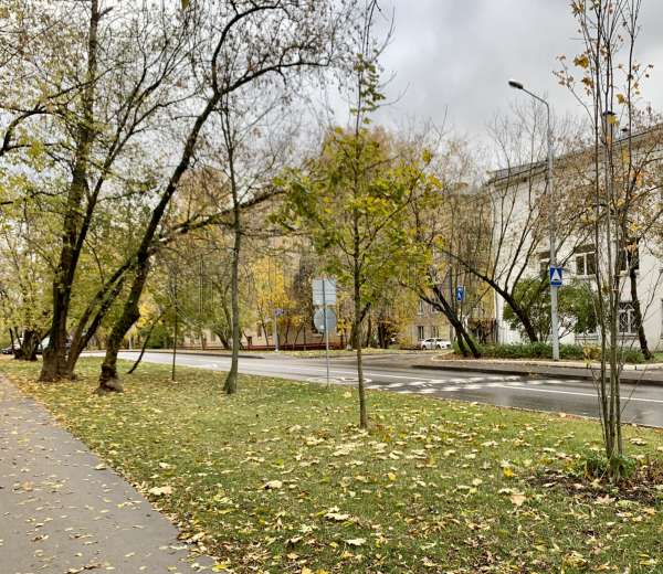 Фото комнаты