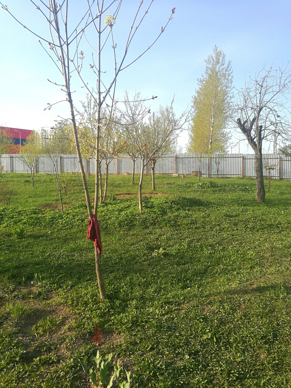Участок, 29 сот. - фото 2