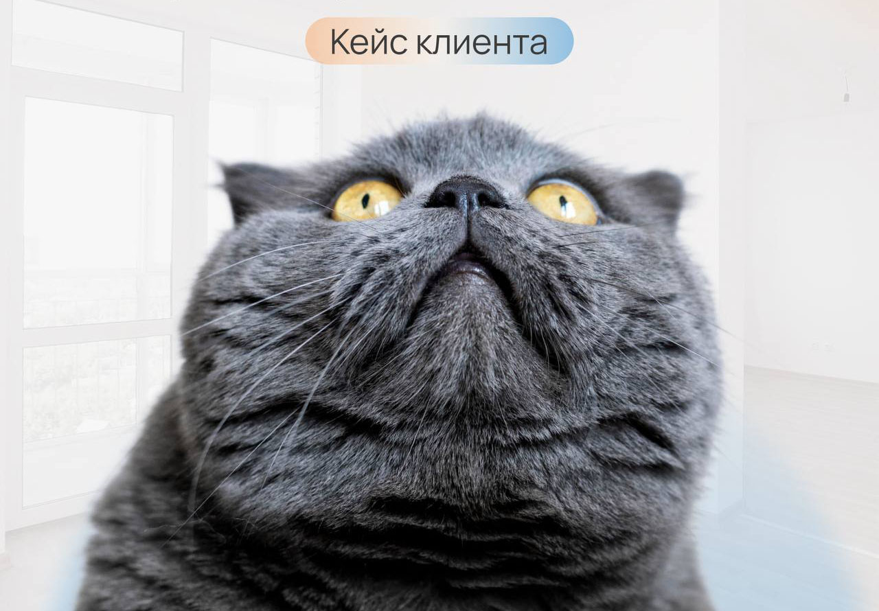 Кейс — купили с клиентами квартиру большей площади, не выходя за рамки бюджета
