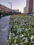 3-комнатная квартира, 70.3 м² - фото 34