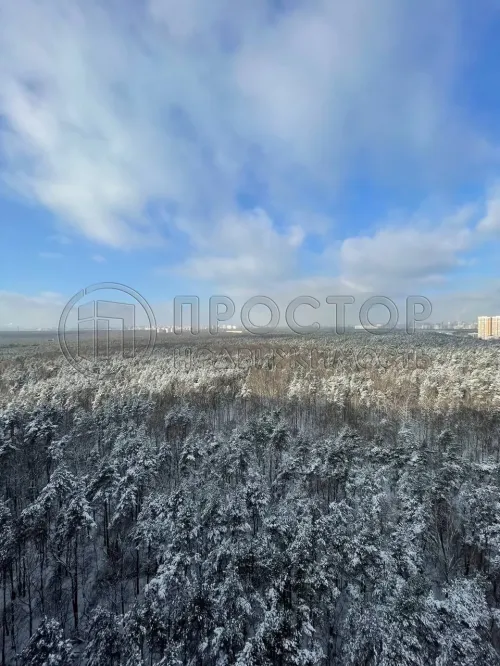 3-комнатная квартира, 84 м² - фото 11