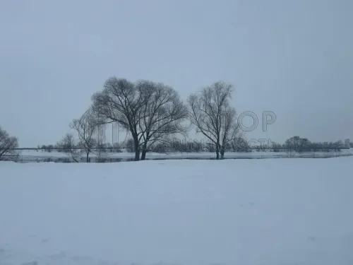 Участок, 20 сот. - фото 4
