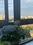 Студия, 30 м² - фото 44