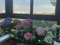 Студия, 30 м² - фото 46