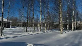 Участок, 5 сот. - фото 22
