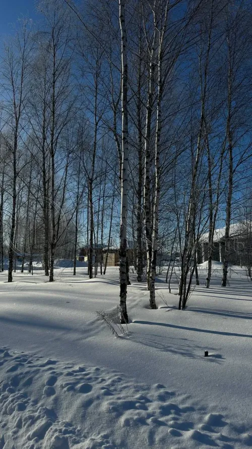 Участок, 5 сот. - фото 11