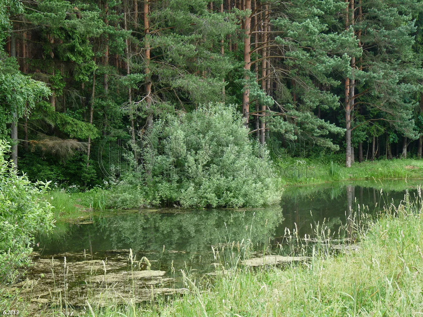 Участок, 7.77 сот. - фото 2